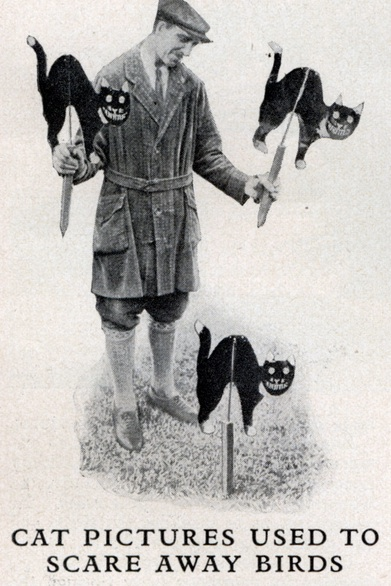 Illustration for article titled The greatest breakthroughs in scarecrow technology of the 1930s